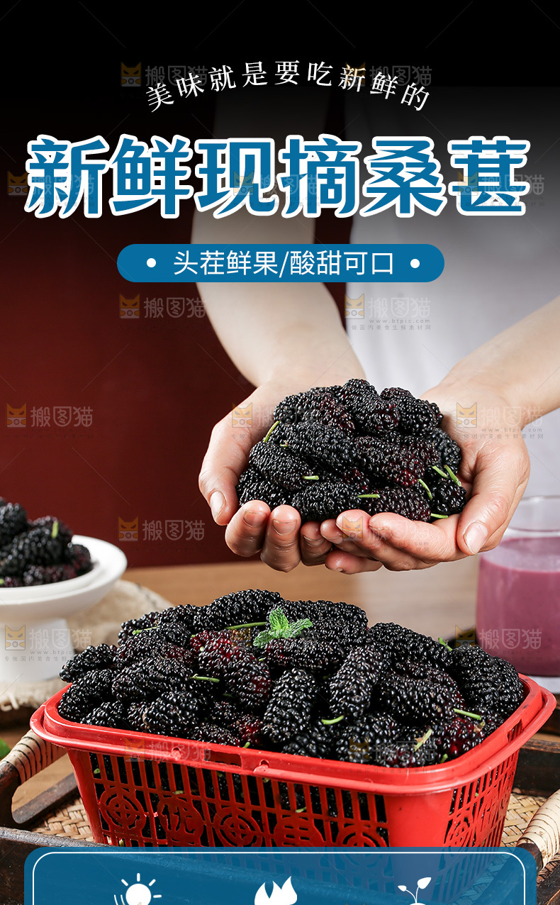 桑葚详情页