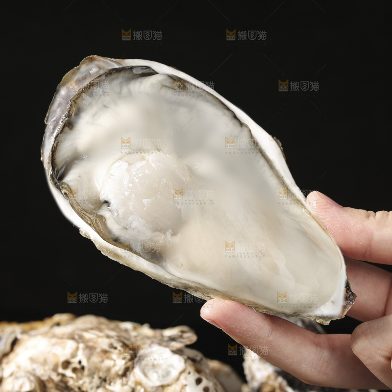 生蚝