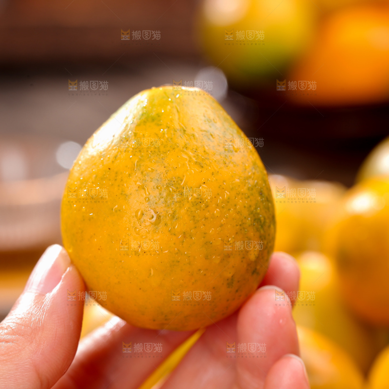脆蜜金柑