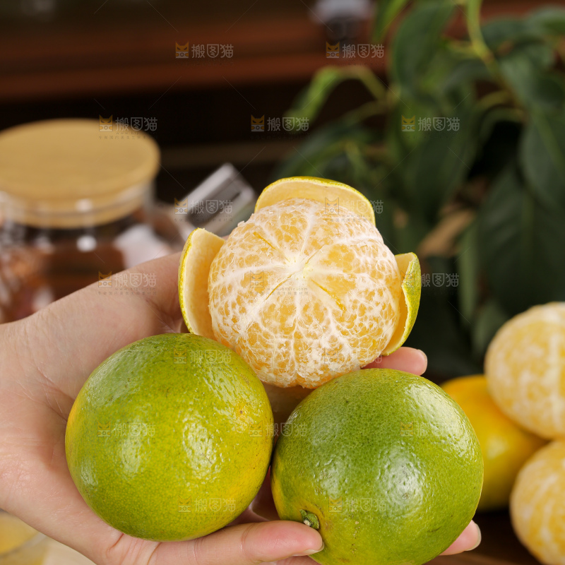 皇帝柑