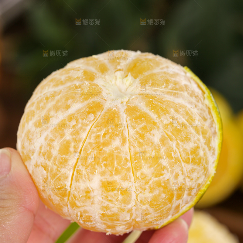 皇帝柑