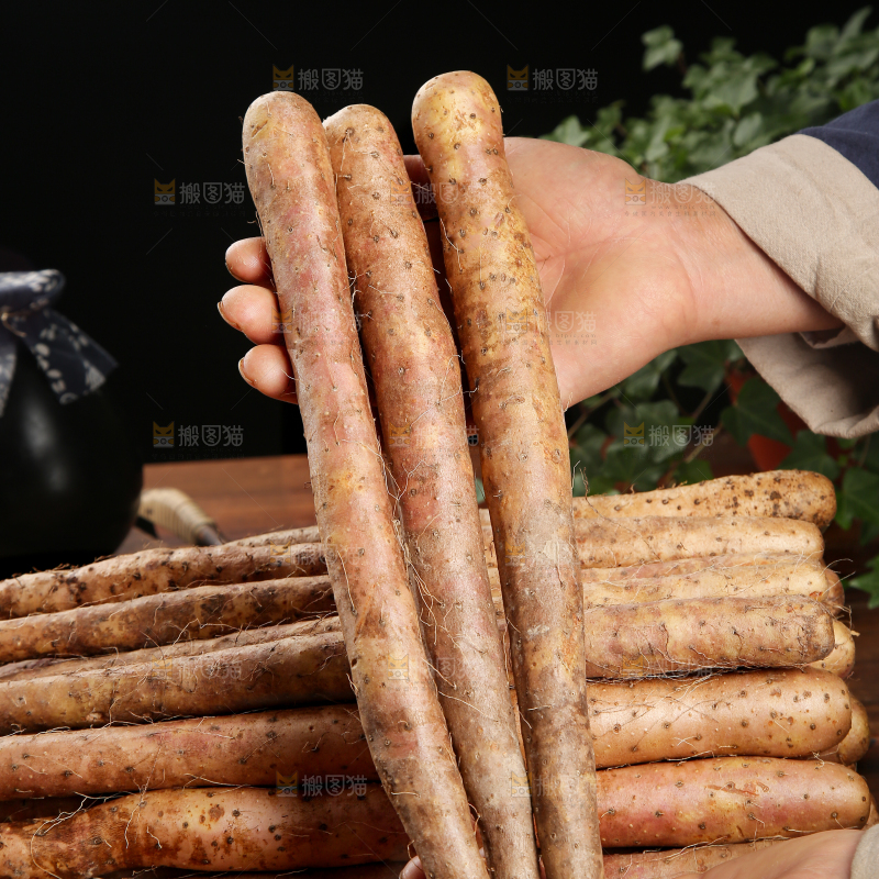 铁棍山药