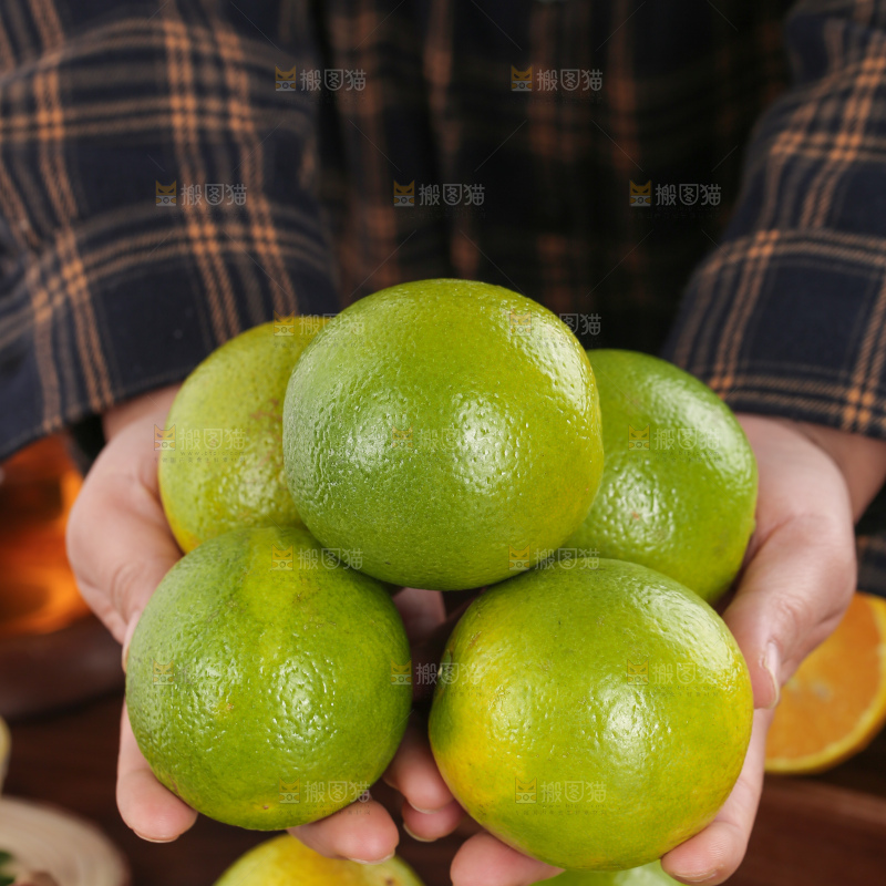 皇帝柑