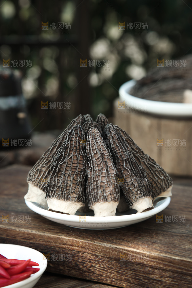 羊肚菌