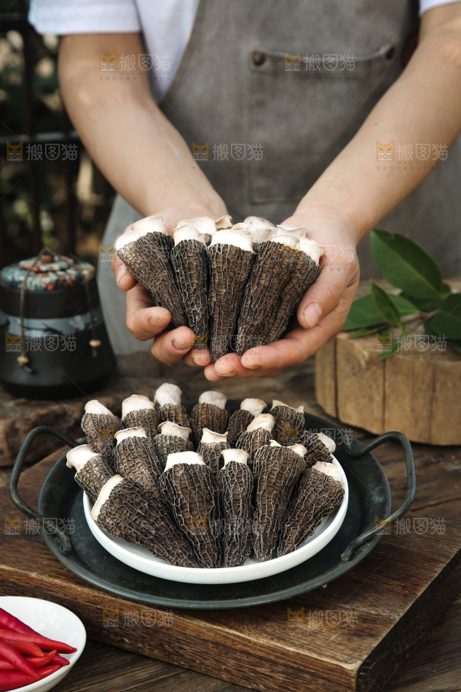羊肚菌