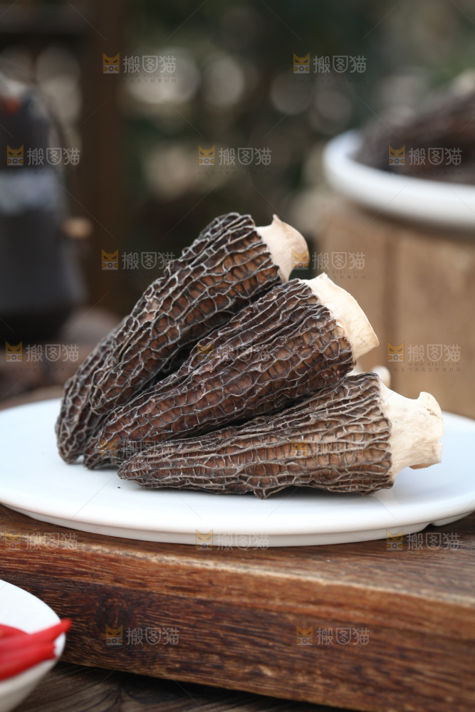 羊肚菌