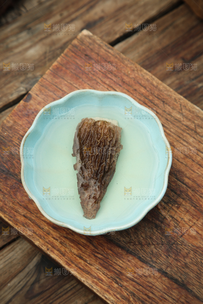 羊肚菌
