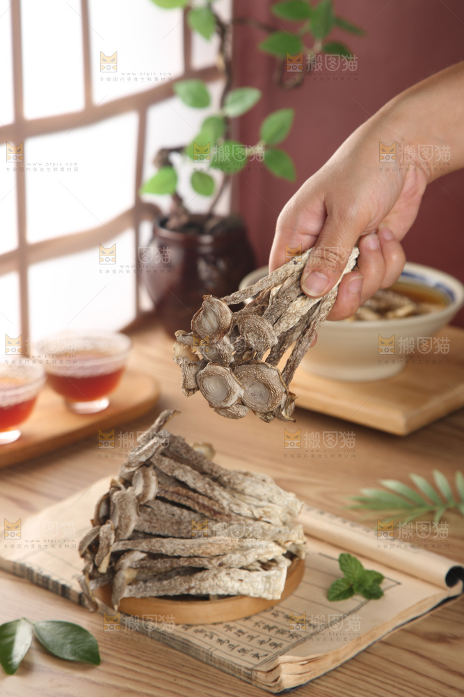 鹿茸菇