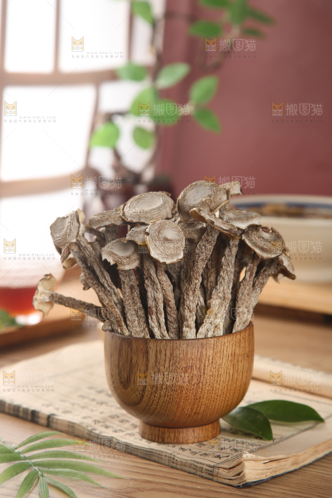 鹿茸菇