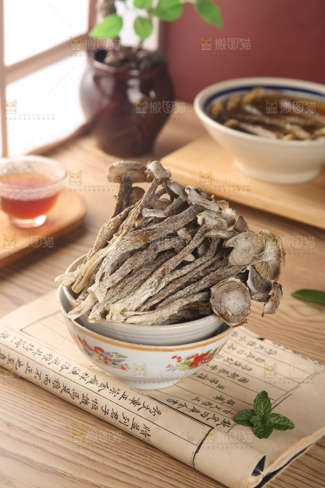 鹿茸菇