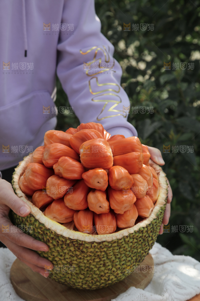 印尼红肉菠萝蜜
