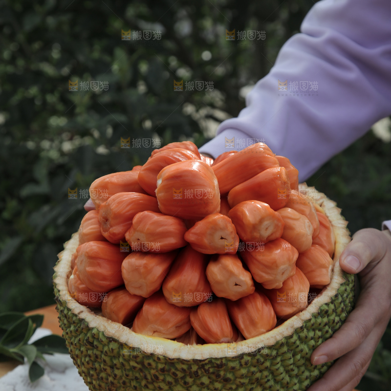 印尼红肉菠萝蜜
