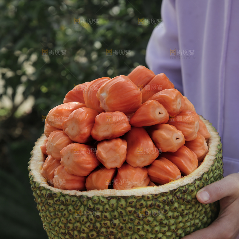 印尼红肉菠萝蜜