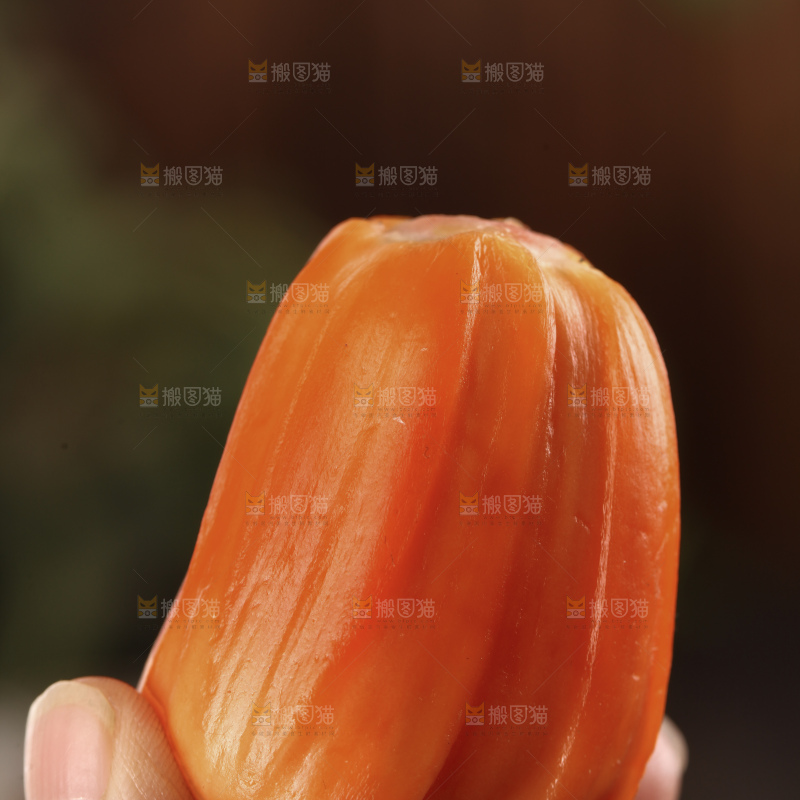 印尼红肉菠萝蜜