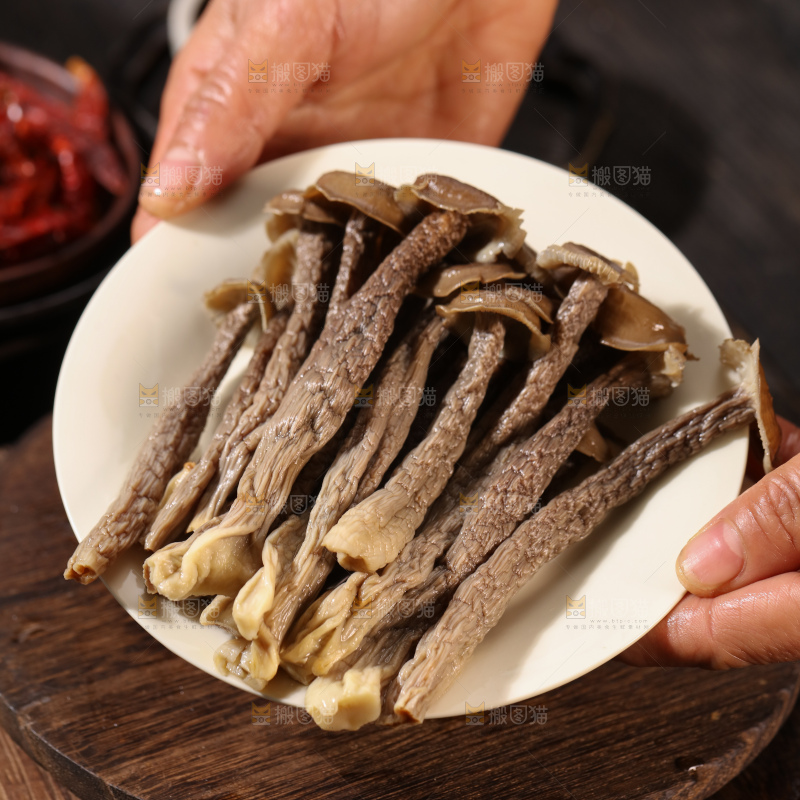 鹿茸菇