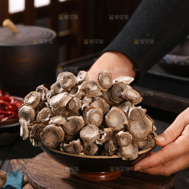 鹿茸菇