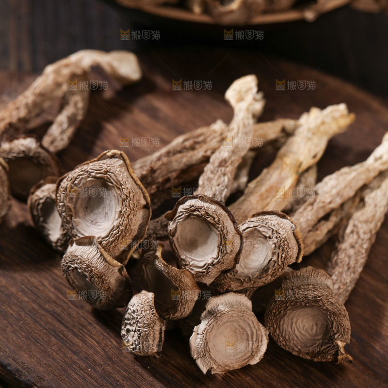 鹿茸菇