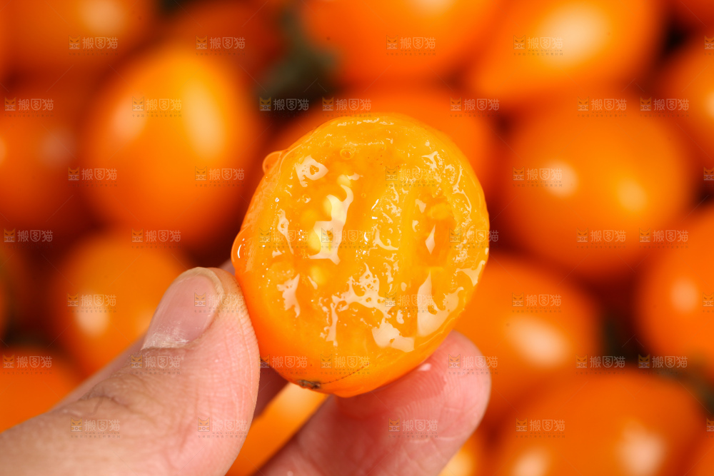 黄金圣女果