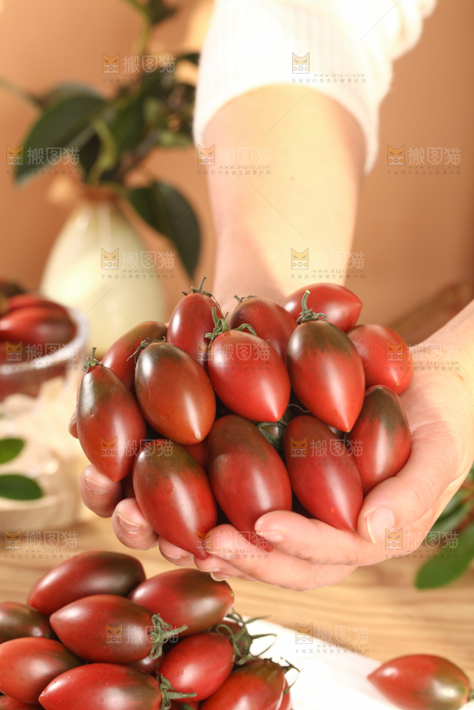紫弹头小番茄