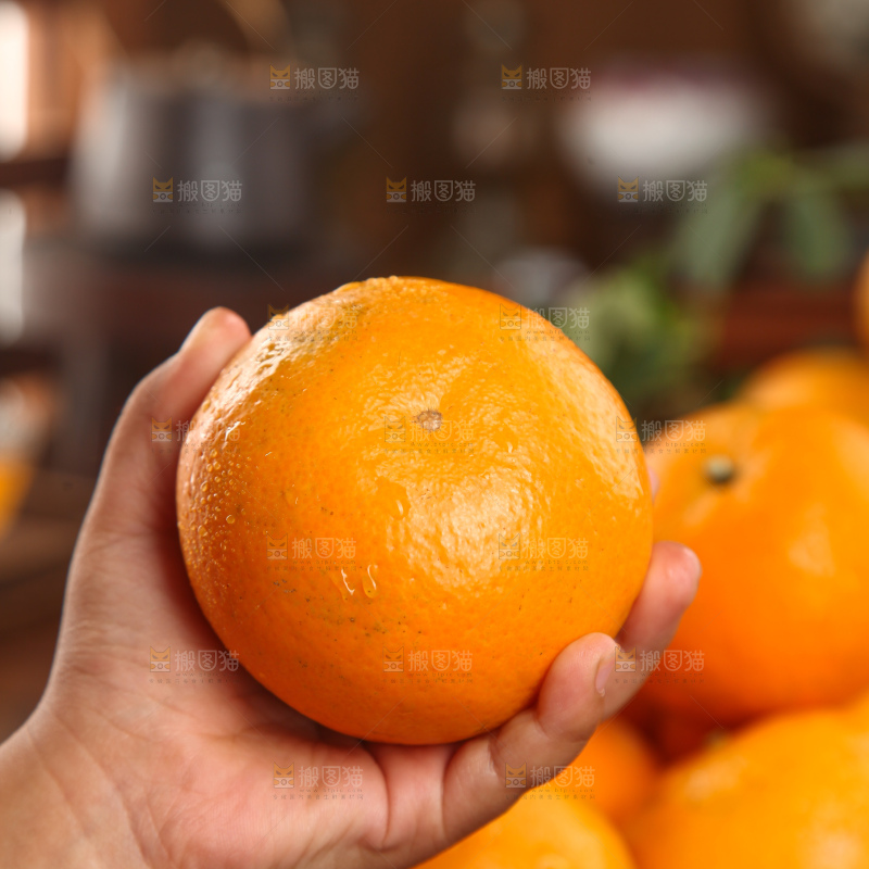 武鸣沃柑