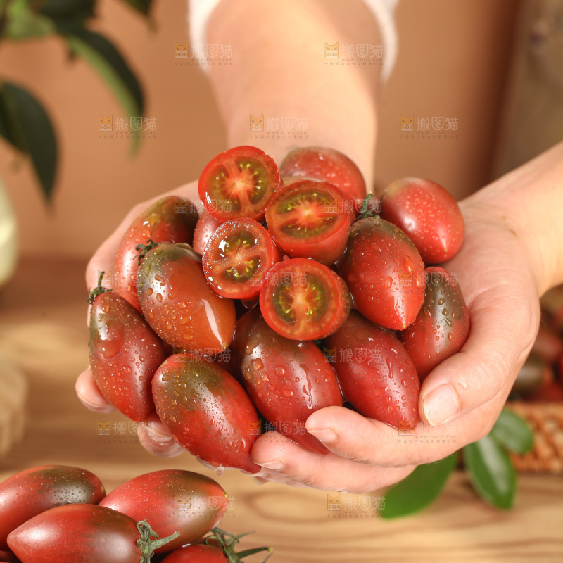 紫弹头小番茄