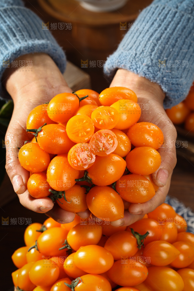 黄金小番茄