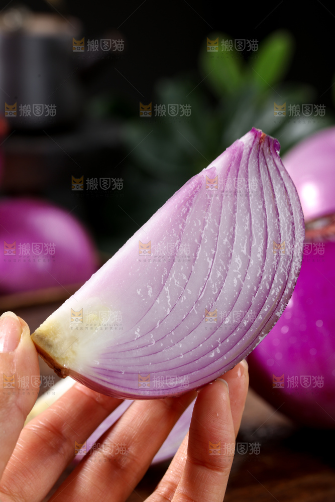 洋葱