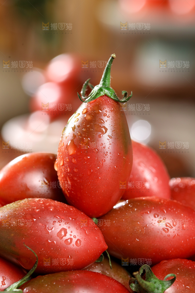 紫弹头小番茄