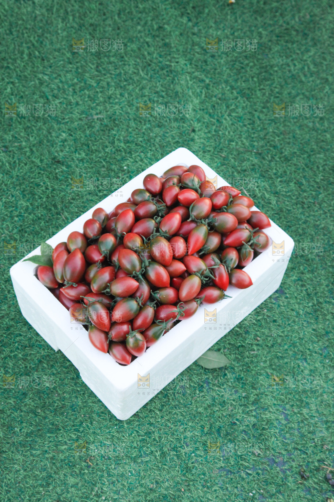 紫弹头小番茄