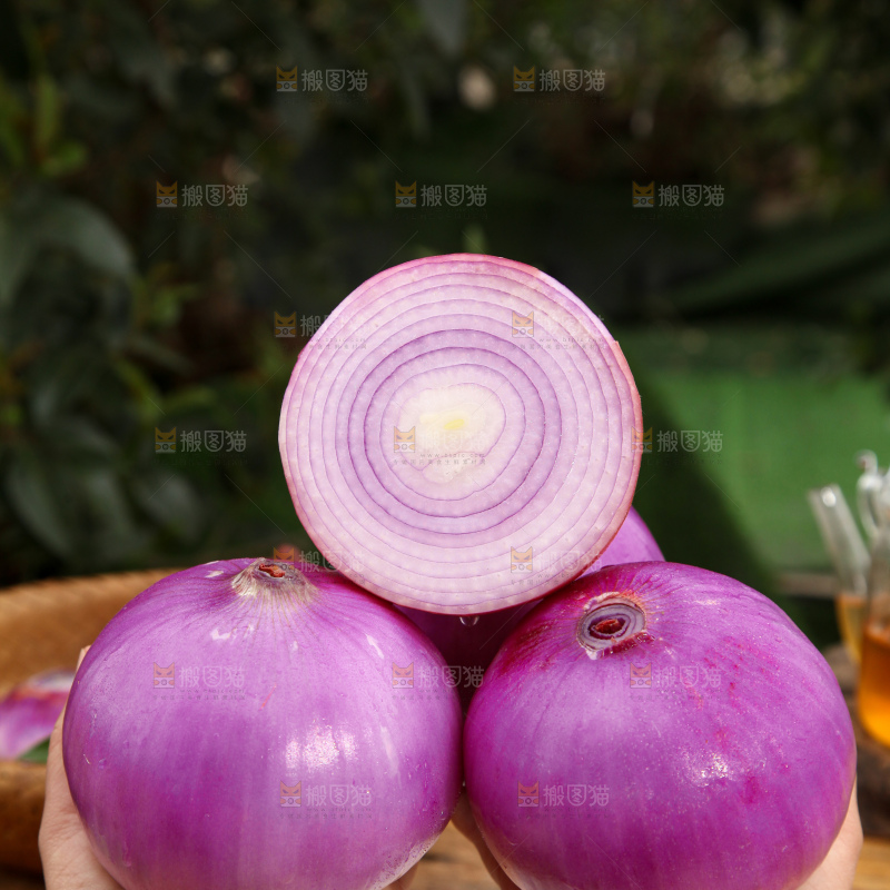 洋葱