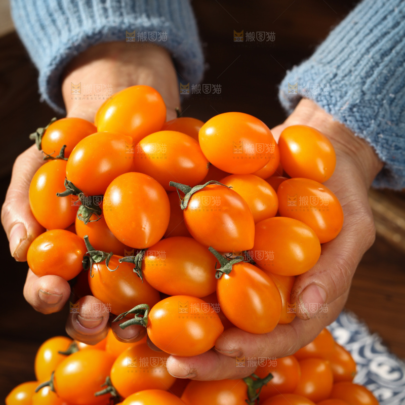 黄金小番茄