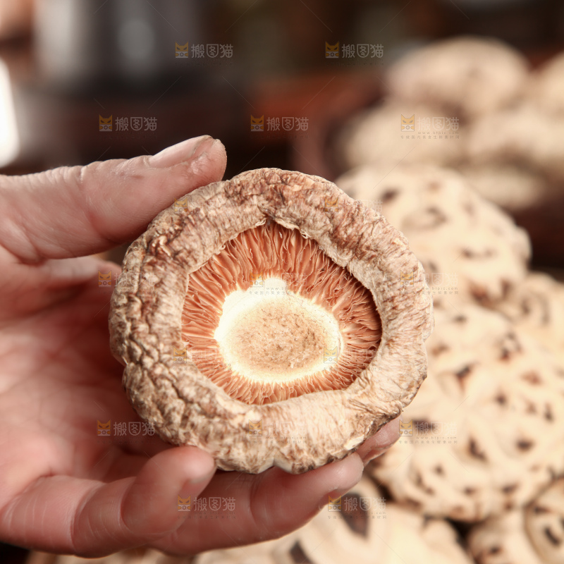 花菇
