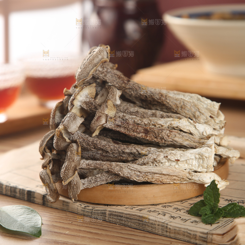 鹿茸菇