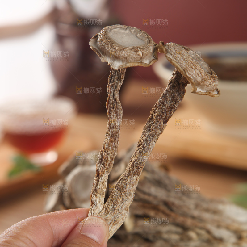 鹿茸菇