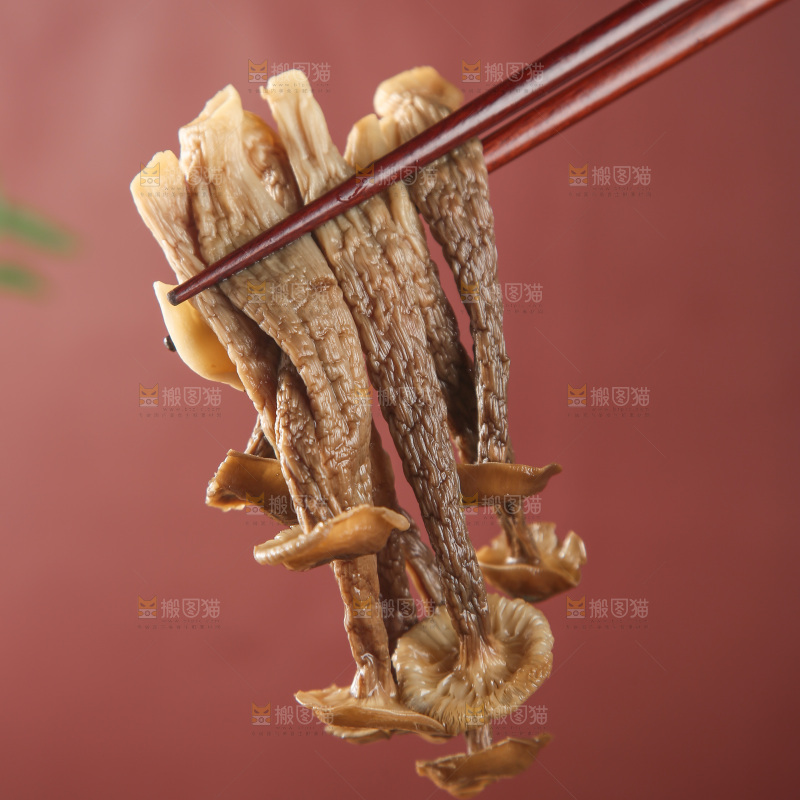 鹿茸菇