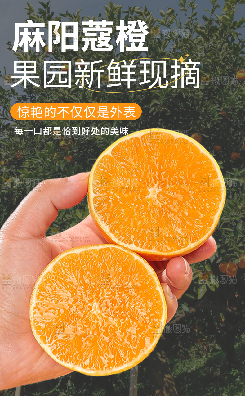 麻阳蔻橙详情页
