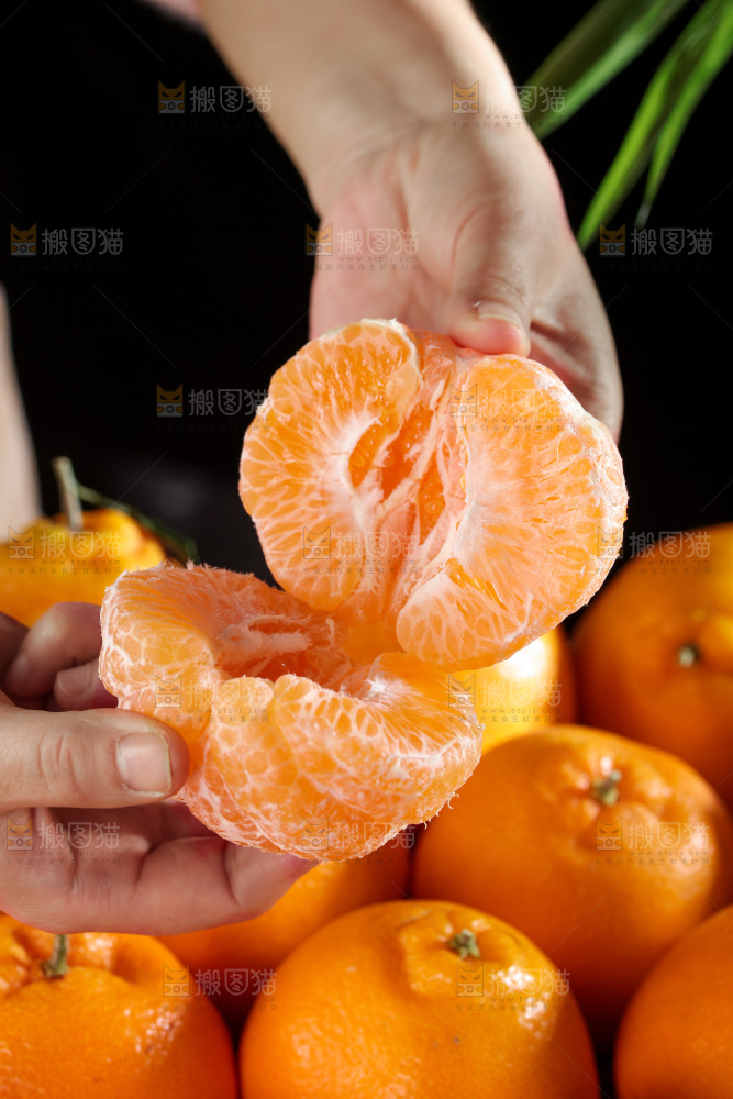 春见耙耙柑