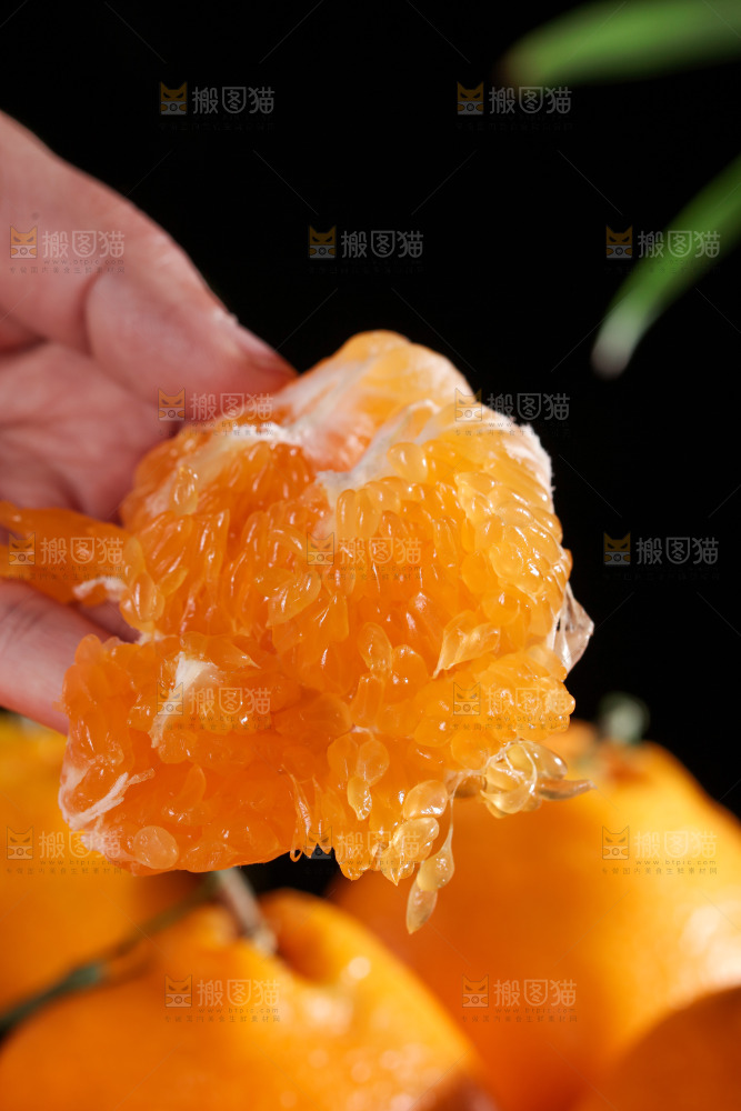春见耙耙柑