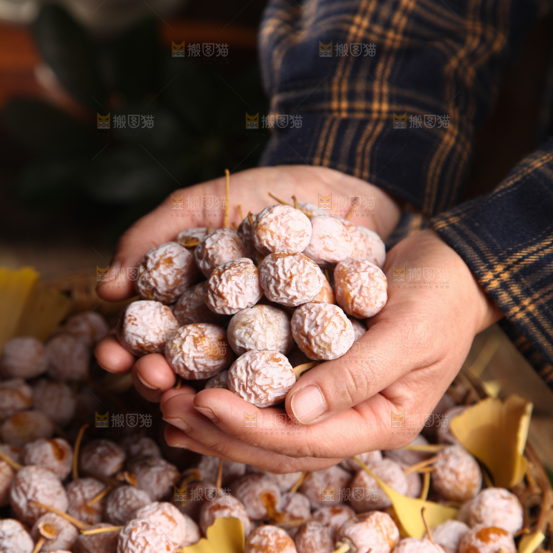 银杏果