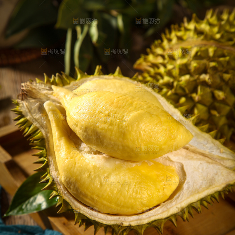 巴掌榴莲
