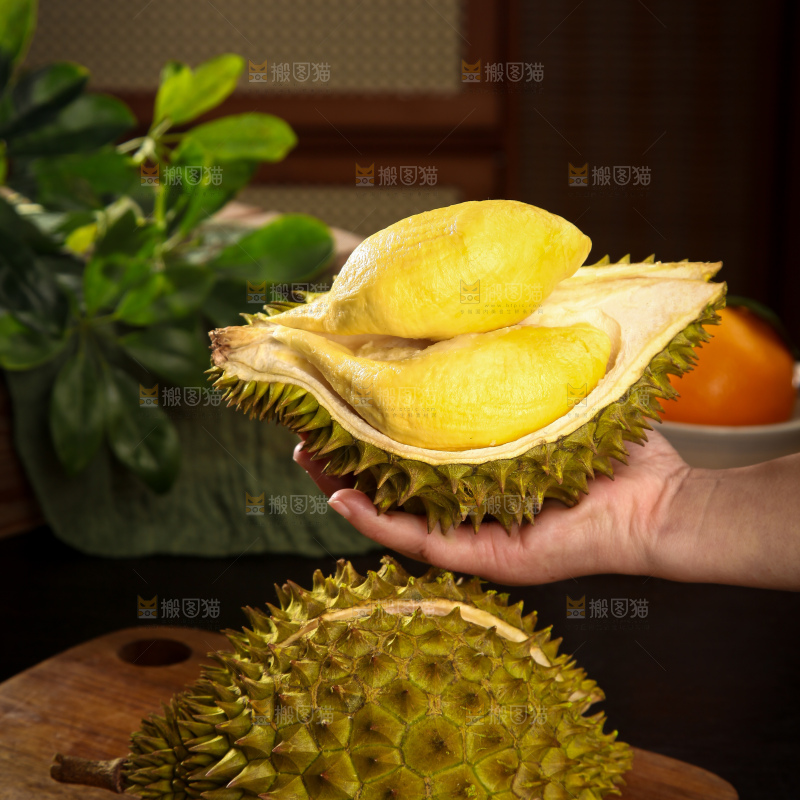 巴掌榴莲