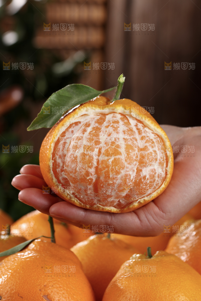 春见耙耙柑