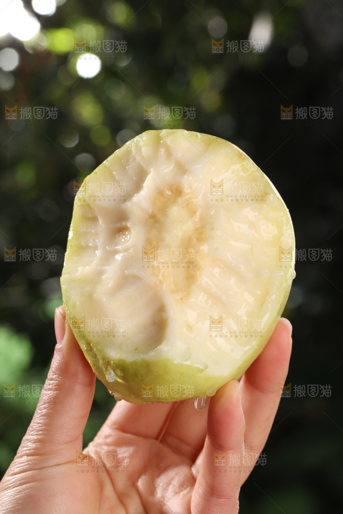 奶油芭乐