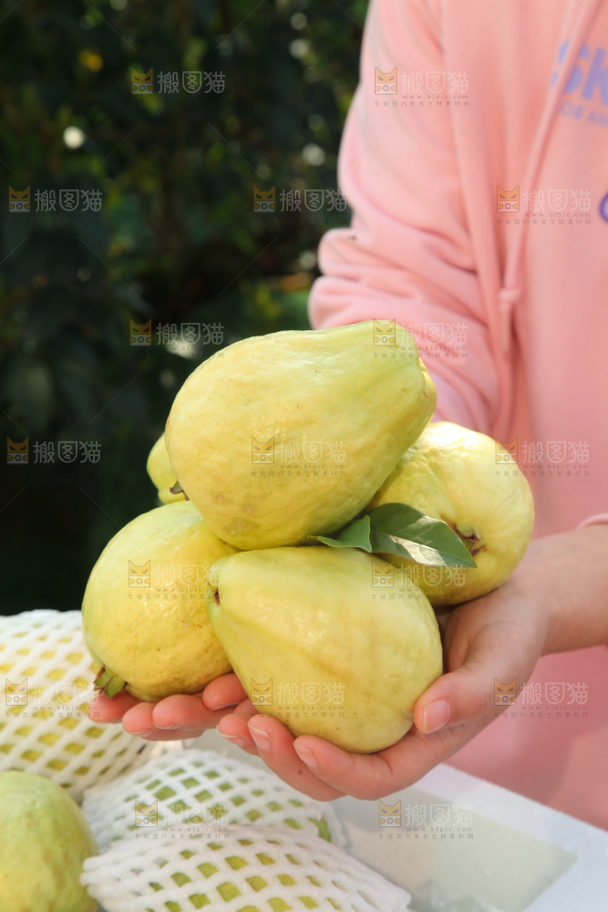 奶油芭乐