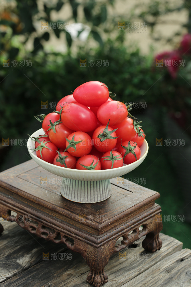 圣女果