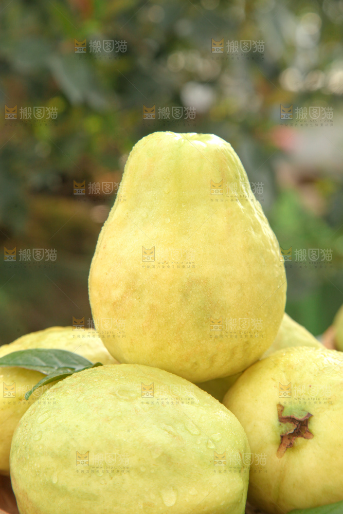 奶油芭乐