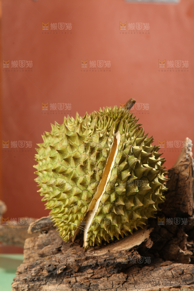 巴掌榴莲