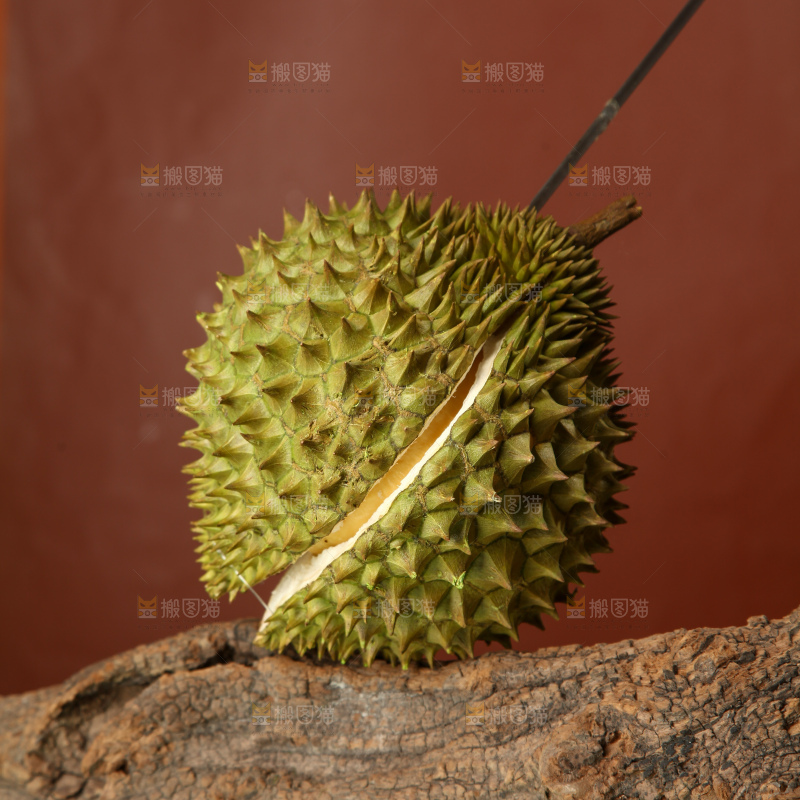 巴掌榴莲