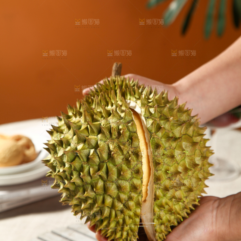 巴掌榴莲