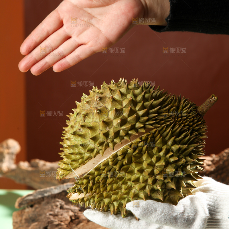 巴掌榴莲